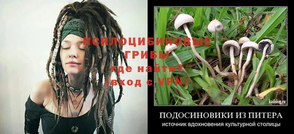 каннабис Инсар