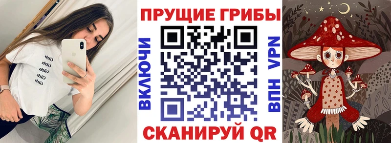 Купить закладки  Маркс  Псилоцибиновые грибы мицелий 