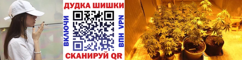 Конопля семена  Купить закладки  Маркс 